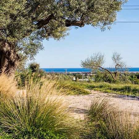 Villa Quinta Da Baleeira Tavira Esterno foto