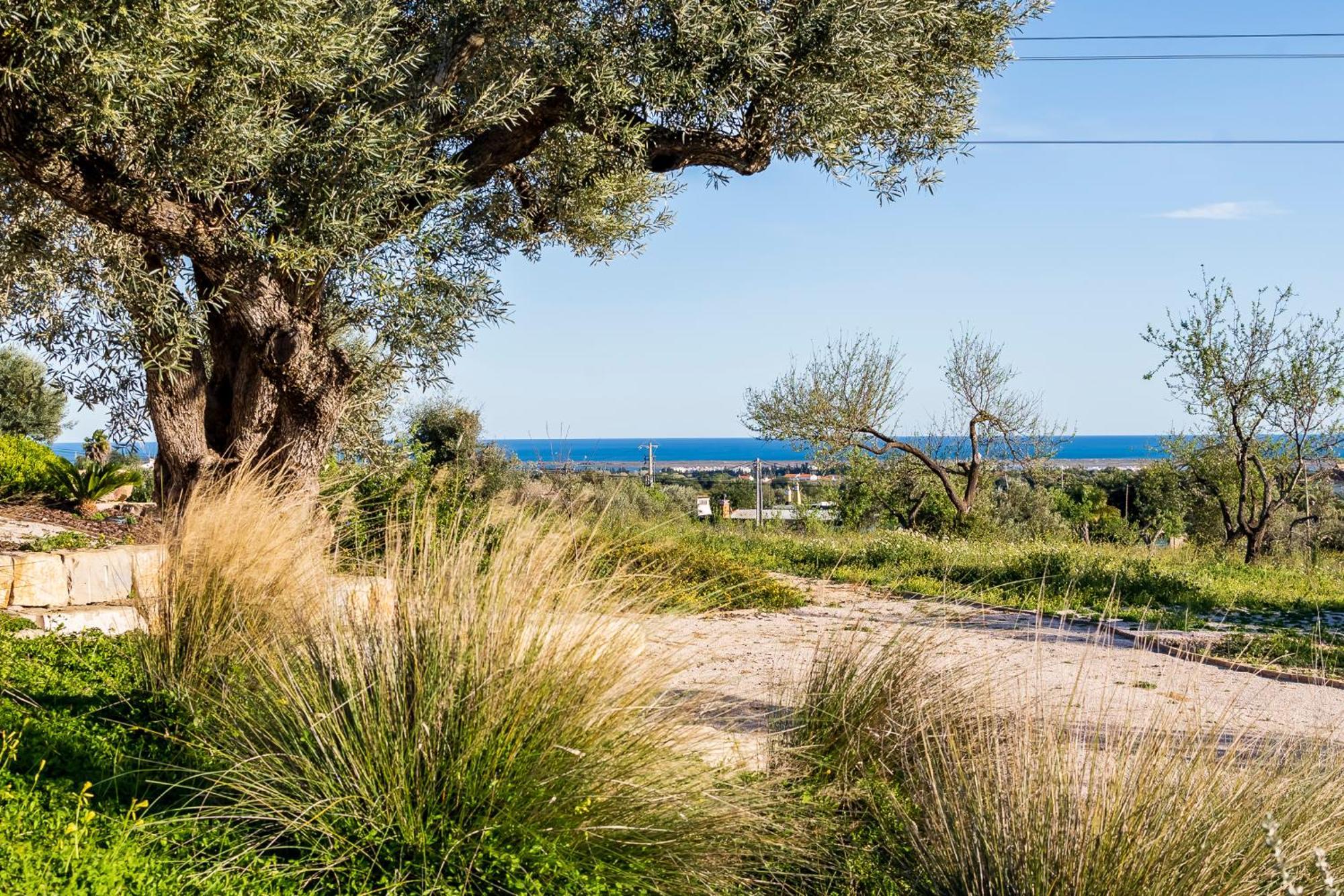 Villa Quinta Da Baleeira Tavira Esterno foto